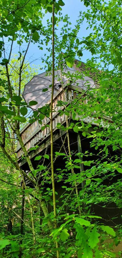 Boshuisje Durbuy Met Zwembad Op Het Park Exterior foto